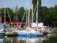 /album/fotogalerie1/a81-eldorado-jpg/